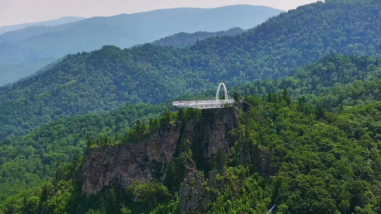 大美龙江等你来 伊春康养之旅  推文 定稿408.png