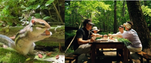 大美龙江等你来 伊春康养之旅  推文 定稿849.png