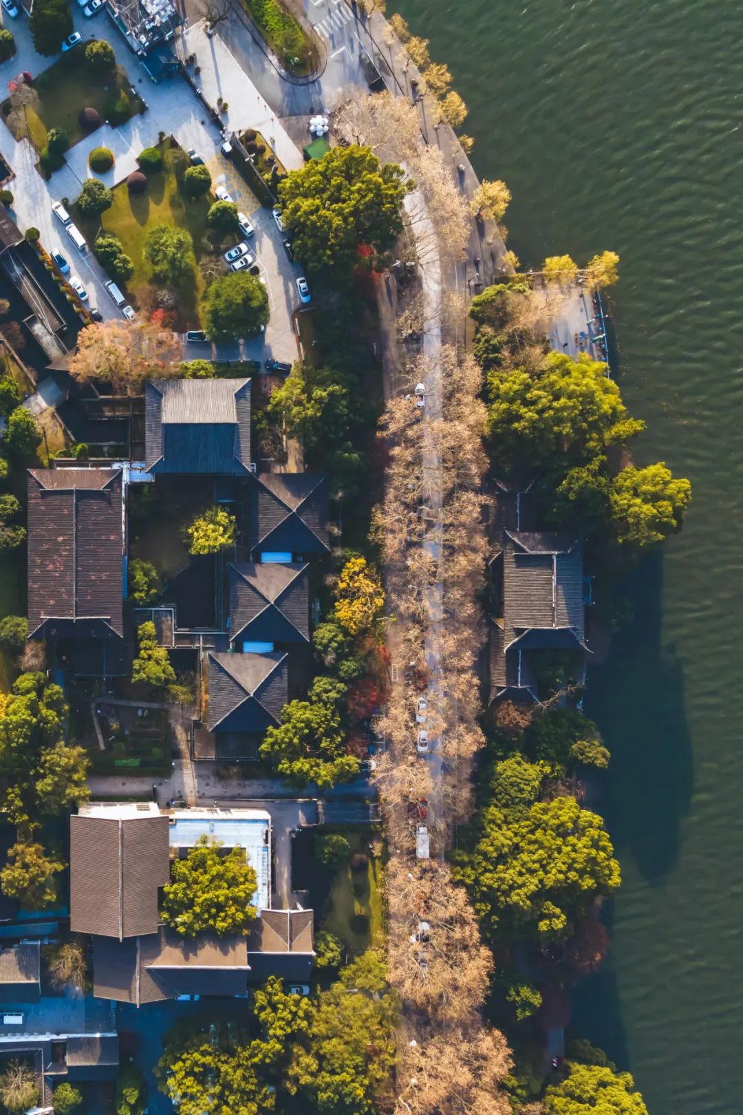 640?wx_fmt=jpeg&from=appmsg