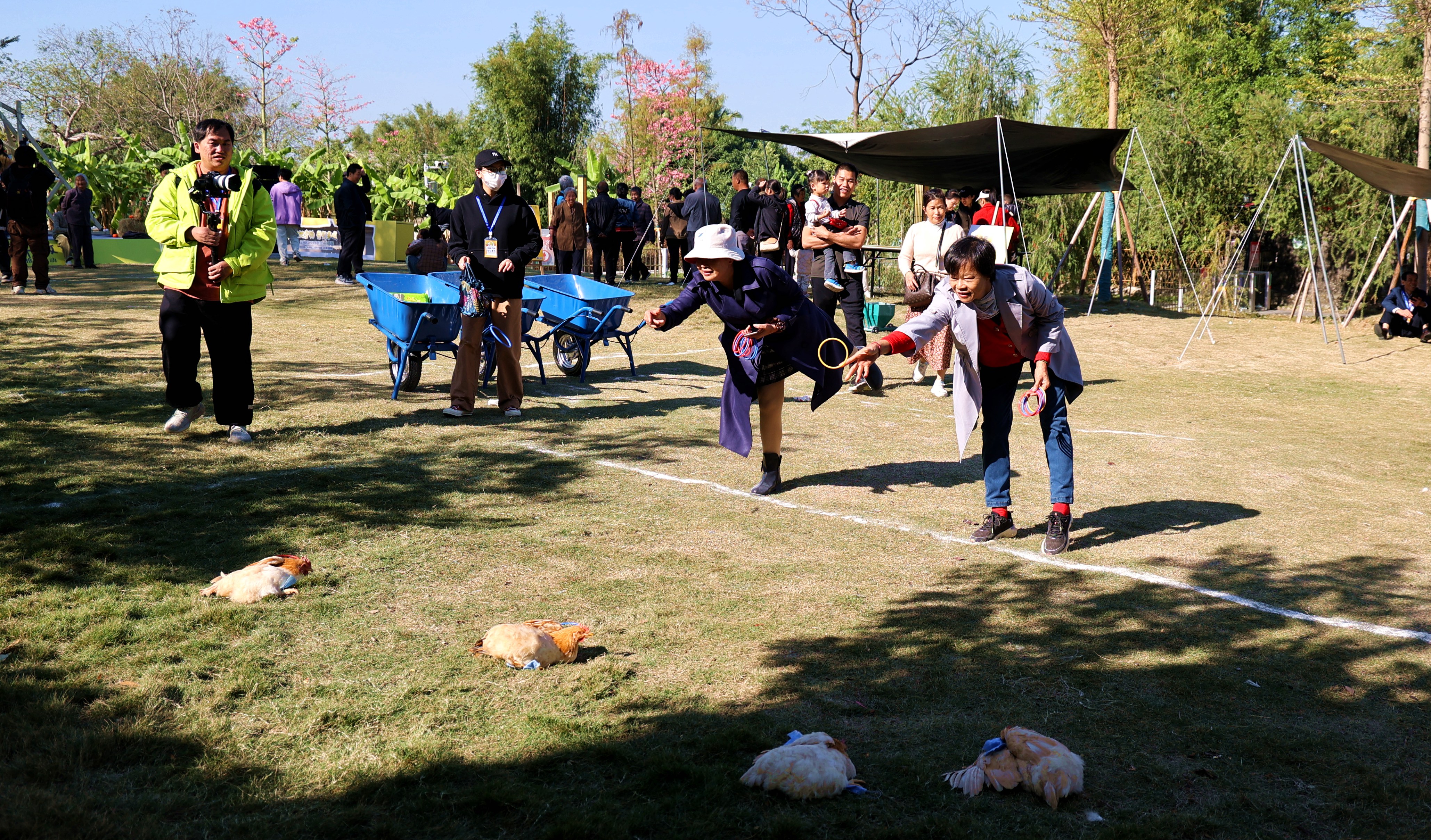 套三黄鸡活动.JPG